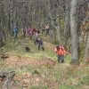 Rajecká skala /Skalky/ bola pre nás poslednou skúškou zobúdzajúcej sa prírody